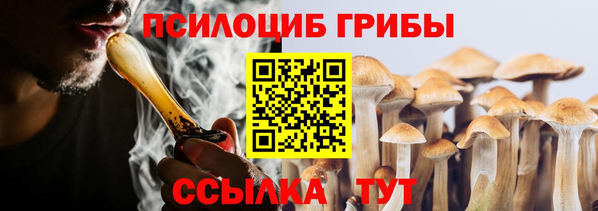 Псилоцибиновые грибы MAGIC MUSHROOMS  Псилоцибиновые грибы Magic Shrooms  Городец  Вход с VPN 